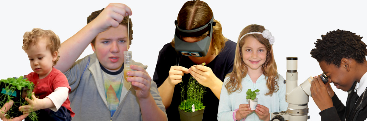 Students learning about Arabidopsis plants in an educational setting