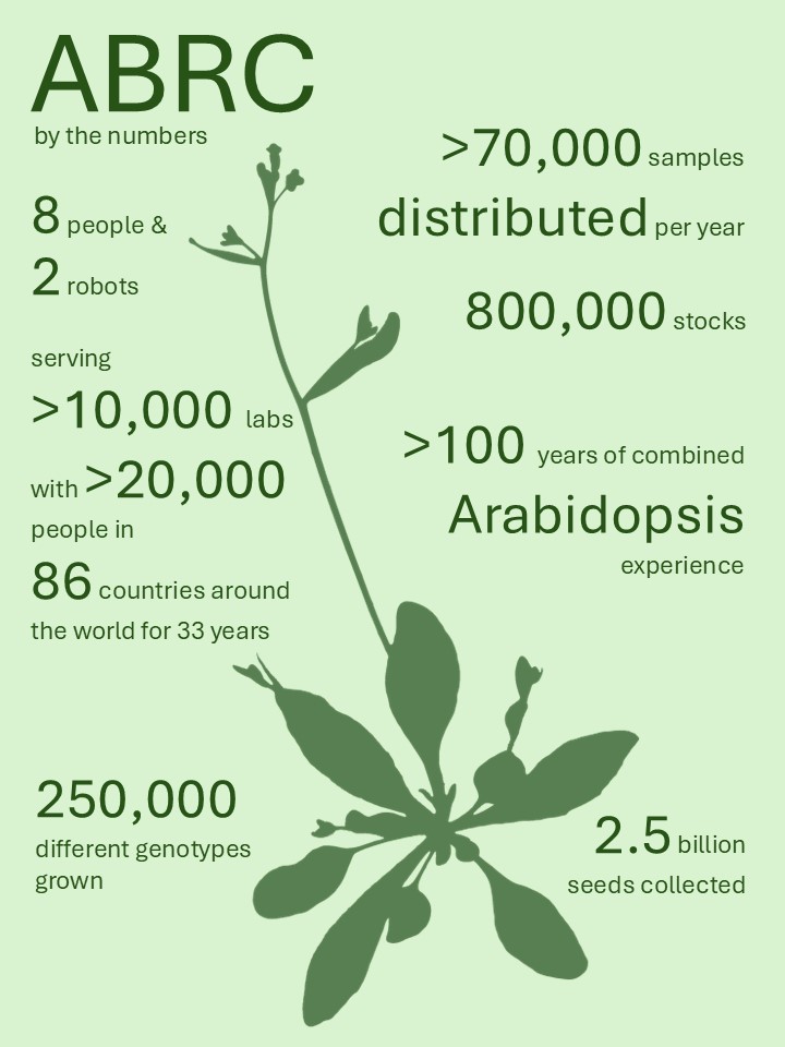 ABRC by the numbers, plant image with statistics on ABRC: 8 people &amp; 2 robots, serving >10,000 labs with >20,000 people in 86 countries for 33 years, 250,000 different genotypes grown, >70,000 samples per year, 800,000 stocks, >100 years combined Arabidopsis experience, 2.5 billion seeds collected.