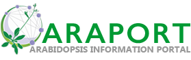 Araport Logo